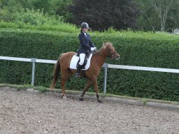 img_4636_web